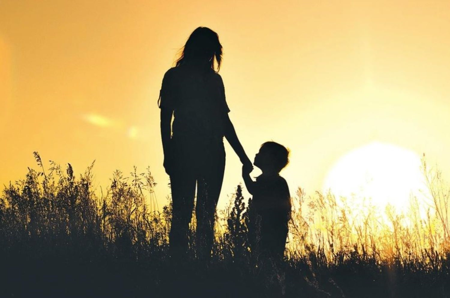 Bức thư của mẹ